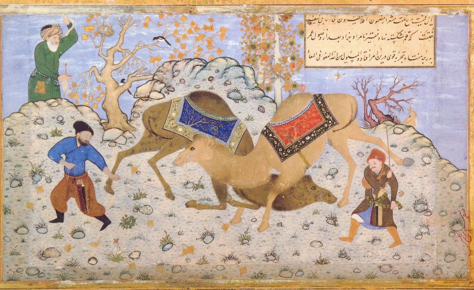 Miniature de Behzād : deux chameaux qui s'affrontent, des oiseaux dans les arbres